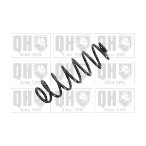 QCS6011 QUINTON HAZELL