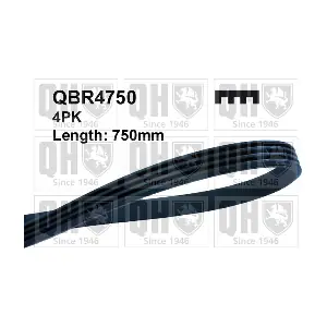 QUINTON HAZELL QBR4750