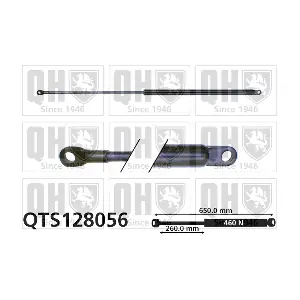 QTS128056 QUINTON HAZELL
