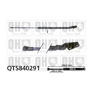 QTS840291 QUINTON HAZELL