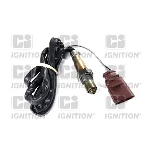 XLOS1310 QUINTON HAZELL