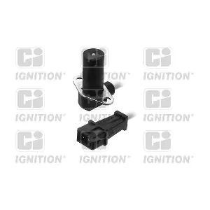 QUINTON HAZELL XREV384