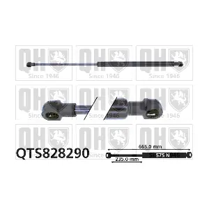 QTS828290 QUINTON HAZELL