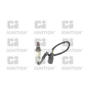 XLOS1824 QUINTON HAZELL