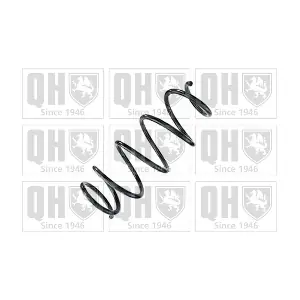 QCS8754 QUINTON HAZELL