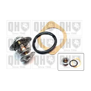 QUINTON HAZELL QTH316K