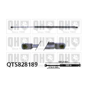 QTS828189 QUINTON HAZELL