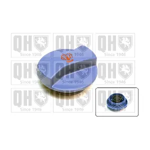 QUINTON HAZELL FC513