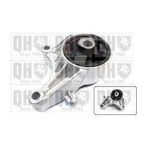 QUINTON HAZELL EM4905