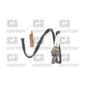 XLOS1660 QUINTON HAZELL