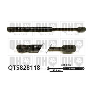 QTS828118 QUINTON HAZELL