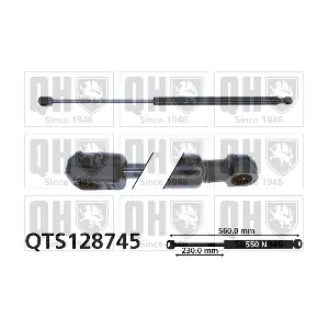QUINTON HAZELL QTS128745