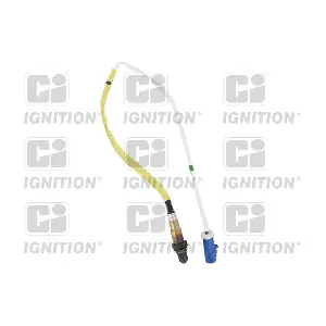QUINTON HAZELL XLOS1488