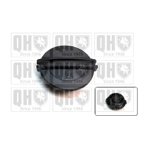 QUINTON HAZELL FC543