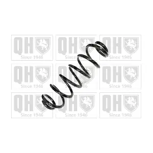 QCS8973 QUINTON HAZELL