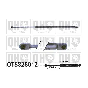 QTS828012 QUINTON HAZELL