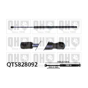 QTS828092 QUINTON HAZELL