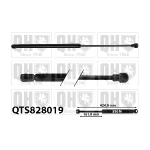 QUINTON HAZELL QTS828019