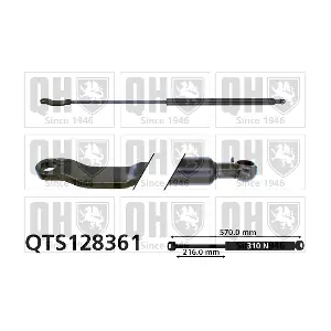 QTS128361 QUINTON HAZELL
