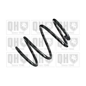 QCS8613 QUINTON HAZELL