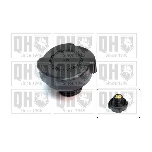 QUINTON HAZELL FC503