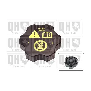 QUINTON HAZELL FC538