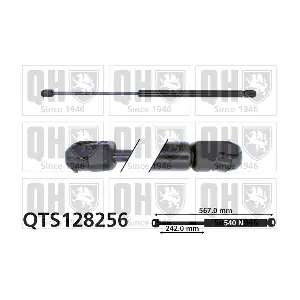 QTS128256 QUINTON HAZELL