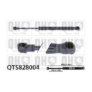 QTS828004 QUINTON HAZELL