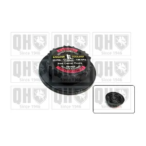 QUINTON HAZELL FC551