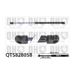 QTS828058 QUINTON HAZELL