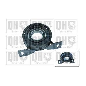 QUINTON HAZELL EM4613