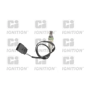 XLOS1101 QUINTON HAZELL