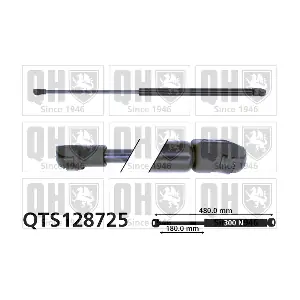 QTS128725 QUINTON HAZELL