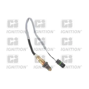 XLOS1504 QUINTON HAZELL