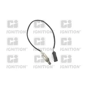 QUINTON HAZELL XLOS1278