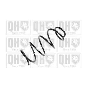 QCS6905 QUINTON HAZELL