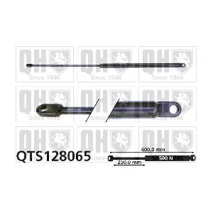 QTS128065 QUINTON HAZELL