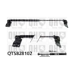 QTS828102 QUINTON HAZELL