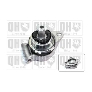 QUINTON HAZELL EM4177