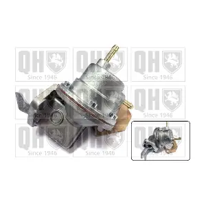 QUINTON HAZELL QFP82