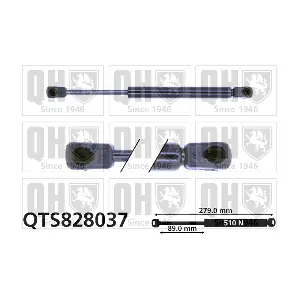 QUINTON HAZELL QTS828037