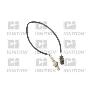 QUINTON HAZELL XLOS1339