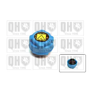 QUINTON HAZELL FC526