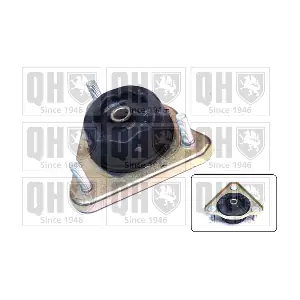 QUINTON HAZELL EMR6010