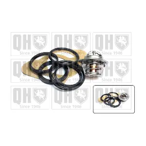 QUINTON HAZELL QTH118K