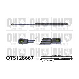 QTS128667 QUINTON HAZELL