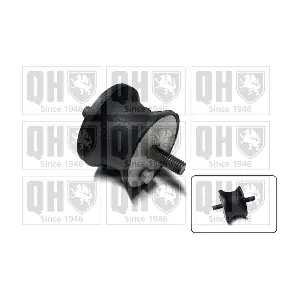 QUINTON HAZELL EM4343