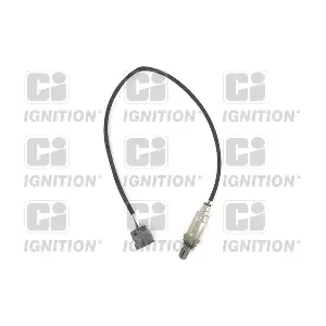 QUINTON HAZELL XLOS1282