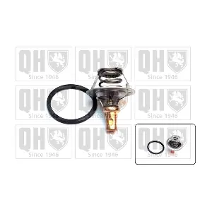 QUINTON HAZELL QTH267K