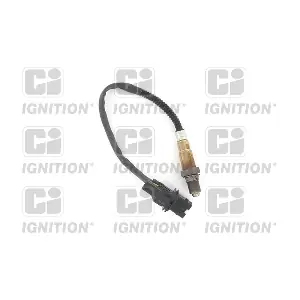 XLOS1756 QUINTON HAZELL